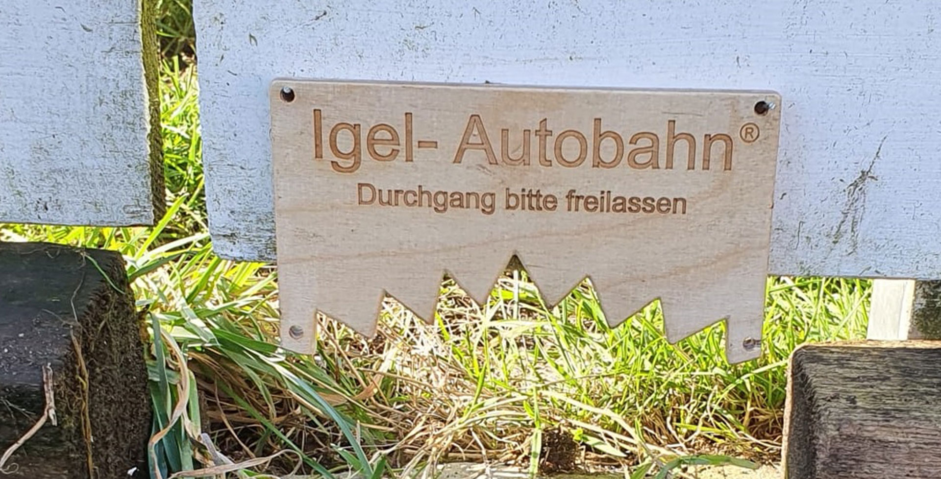 Interview: Igel-Autobahn
